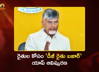 ఏలూరులో కోకో సిటీ.. లంబసింగిలో కుంకుమపువ్వు సాగు: సీఎం చంద్రబాబు కీలక నిర్ణయాలు CM Chandrababu Naidu Launches DG Rythu Bazar App For Digital Farming
