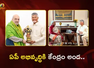 ఏపీ బడ్జెట్ ముంగిట ఢిల్లీలో బాబు మంత్రాంగం.. ఏడుగురు కేంద్ర మంత్రులతో కీలక భేటీలు! CM Chandrababu Seeks Centre Support For Key AP Projects During Delhi Visit