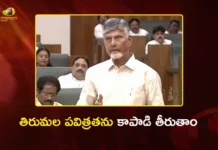 CM Chandrababu Slams YSRCP Over Tirumala Laddu Adulteration in Assembly