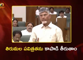 CM Chandrababu Slams YSRCP Over Tirumala Laddu Adulteration in Assembly