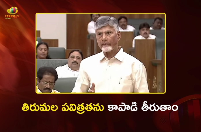 CM Chandrababu Slams YSRCP Over Tirumala Laddu Adulteration in Assembly CM Chandrababu Slams YSRCP Over Tirumala Laddu Adulteration in Assembly