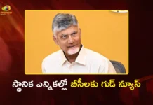 CM Chandrababu to Form Commission for 34% BC Quota in Local Body Elections