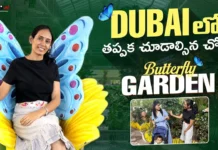 Don't Miss This Garden on Your Next Dubai Trip