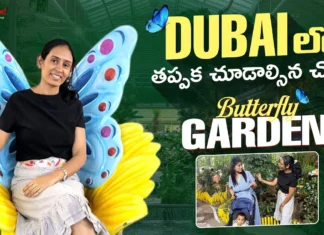 వేలాది సీతాకోకచిలుకల మధ్య ఒక రోజు.. దుబాయ్ వెళ్తే ఈ గార్డెన్ను మిస్ అవ్వకండి! Don't Miss This Garden on Your Next Dubai Trip