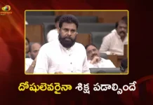 Dy CM Pawan Kalyan Fires at YSRCP in AP Assembly Over Ghee Adulteration