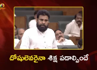 Dy CM Pawan Kalyan Fires at YSRCP in AP Assembly Over Ghee Adulteration