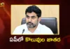 ఉగాదికి ఏపీ జాబ్ క్యాలెండర్: మంత్రి నారా లోకేష్ కీలక ప్రకటన Minister Nara Lokesh Announces AP Govt to Release Job Calendar by Ugadi