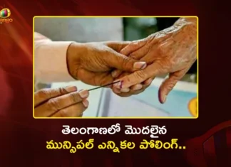 తెలంగాణలో మున్సిపల్ పోలింగ్ షురూ.. భారీగా బారులు తీరిన ఓటర్లు! Telangana Municipal Elections 2026 Polling Begins in 7 Corporations and 116 Municipalities