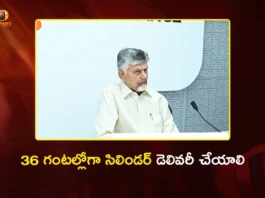 AP CM Chandrababu Reviews on Gas Crisis, Directs Delivery Within 36 Hrs of Booking