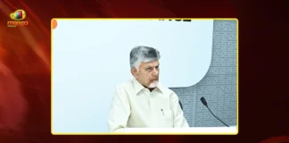 AP CM Chandrababu Reviews on Gas Crisis, Directs Delivery Within 36 Hrs of Booking