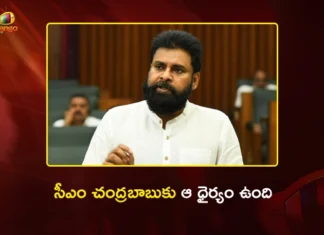 వైసీపీ ప్రభుత్వం 9 లక్షల కోట్ల అప్పులు ఇచ్చి వెళ్లింది – డిప్యూటీ సీఎం పవన్ కళ్యాణ్ AP Dy CM Pawan Kalyan Slams YCP's Financial Destruction in Assembly