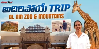 Al Ain't beauty through the lens of Vlogger Ambica A must-watch