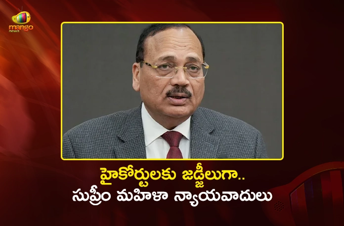 CJI Surya Kant Proposal to Collegium, Consider SC Women Advocates For High Court Judges CJI Surya Kant Proposal to Collegium, Consider SC Women Advocates For High Court Judges