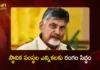 CM Chandrababu Announces, AP Local Body Polls Will be Held in 6 Months