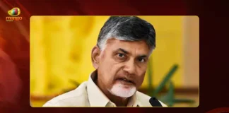 CM Chandrababu Announces, AP Local Body Polls Will be Held in 6 Months