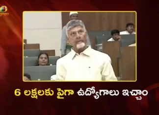 CM Chandrababu Announces Over 6 Lakh Jobs Provided So Far in AP Under Our Govt