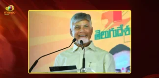 CM Chandrababu Assures Recognition For Hard-Working Cadre at TDP's 44th Formation Day