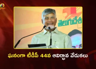 CM Chandrababu Assures Recognition For Hard-Working Cadre at TDP's 44th Formation Day