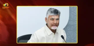 CM Chandrababu Confirms 15 Days of Stocks Available in AP Amid LPG Crisis