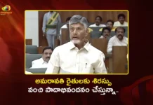 CM Chandrababu Salutes Farmers During Moves Historic Resolution on Amaravati in AP Assembly