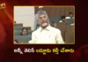 CM Chandrababu Slams YSRCP Over Tirumala Laddu Issue in Assembly