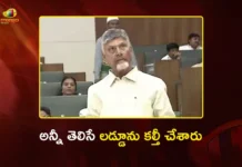 CM Chandrababu Slams YSRCP Over Tirumala Laddu Issue in Assembly