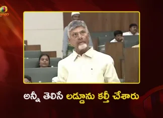 CM Chandrababu Slams YSRCP Over Tirumala Laddu Issue in Assembly