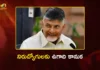 CM Chandrababu to Release Job Calendar with 10,000 Vacancies Tomorrow During Ugadi