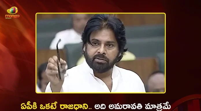 Dy CM Pawan Kalyan Clarifies in Assembly, Only Amaravati is AP’s Capital