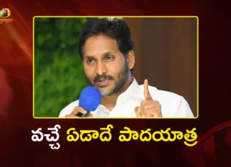 వచ్చే ఏడాదే నా పాదయాత్ర.. మాజీ సీఎం వైఎస్ జగన్ Former CM YS Jagan Announces to Undertake Padayatra Next Year AP Wide