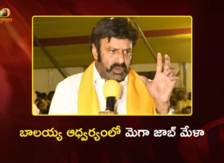 నిరుద్యోగ యువతకు బాలయ్య భరోసా.. హిందూపురంలో మెగా జాబ్ మేళా MLA Nandamuri Balakrishna to Host Mega Job Fair in Hindupur on Mar 15