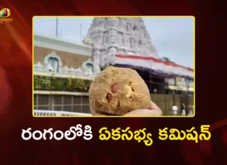TTD Laddu Row One-man Commission Begins Probe on Ghee Adulteration