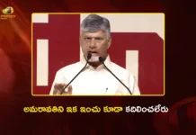 AP CM Chandrababu Says, From Now Onwards Amaravati Can't Be Moved Even an Inch