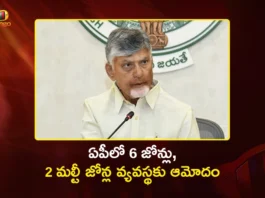 AP Cabinet Approves 6 Zones and 2 Multi-Zones in Job Recruitments, Transfers