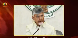 AP Cabinet Approves 6 Zones and 2 Multi-Zones in Job Recruitments, Transfers