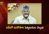 CM Chandrababu Approves 31 Projects Worth Rs.40k Cr For AP in SIPB Meeting