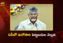 CM Chandrababu Approves 31 Projects Worth Rs.40k Cr For AP in SIPB Meeting