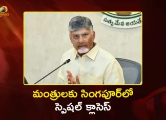 CM Chandrababu Plans 9-Member Cabinet Team to Singapore For Special Governance Training