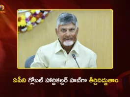CM Chandrababu Plans to Make AP as Global Horticulture Hub