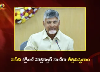 సూక్ష్మ సేద్యంలో దేశంలోనే అగ్రస్థానంలో ఏపీ – సీఎం చంద్రబాబు హర్షం CM Chandrababu Plans to Make AP as Global Horticulture Hub