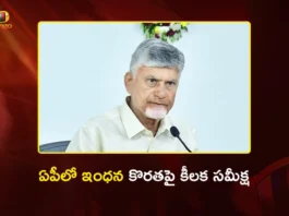 CM Chandrababu Reviews Fuel Shortage in AP, Directs Officials For Swift Action