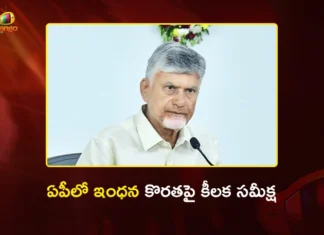 CM Chandrababu Reviews Fuel Shortage in AP, Directs Officials For Swift Action