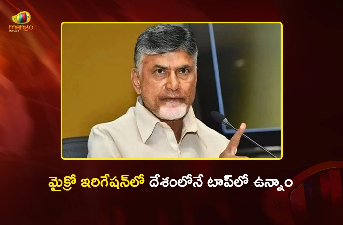 CM Chandrababu Says, AP Leads the Country in Micro Irrigation CM Chandrababu Says, AP Leads the Country in Micro Irrigation