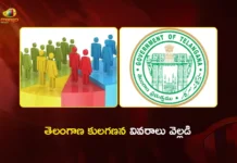 CM Revanth Reddy Govt Reveals Complete Caste Census Data of Telangana