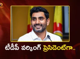 Minister Nara Lokesh Appointed as TDP Working President