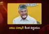 AP Govt Issues Relief Guidelines for Gramakantam Lands and Houses Registration