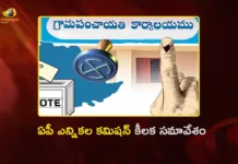 AP SEC Anil Chandra Punetha Held Special Review on Local Body Election Preparations
