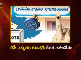 AP SEC Anil Chandra Punetha Held Special Review on Local Body Election Preparations