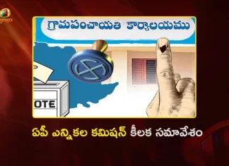 AP SEC Anil Chandra Punetha Held Special Review on Local Body Election Preparations