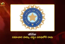 CIC Declares BCCI is Not a Public Authority and Out of Subject To RTI Act